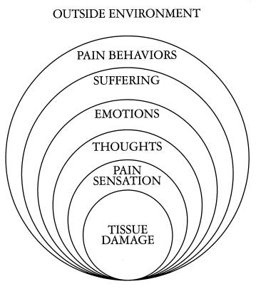 quotes about emotional pain. Emotional pain: the essence of