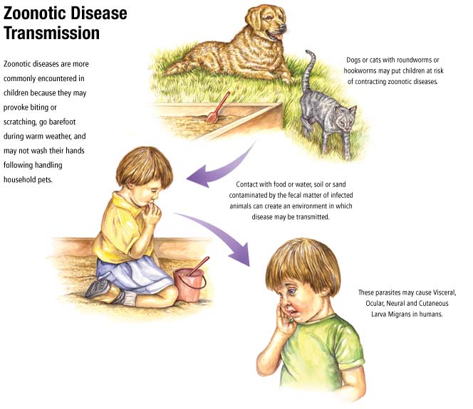 Zoonosis Disease List